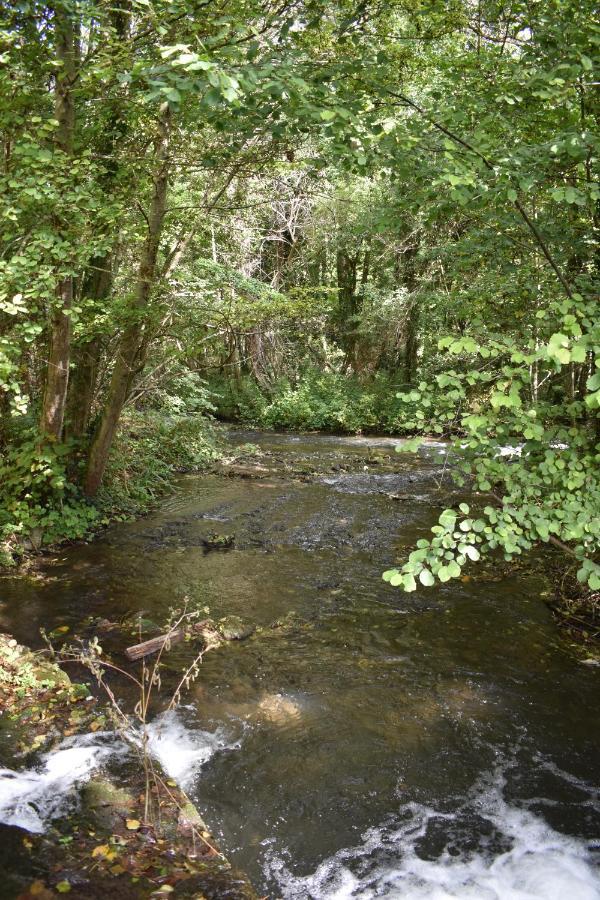 Le Moulin,19 Bis Rue De Beaudon, 45330 Augerville La Riviere Trezan المظهر الخارجي الصورة
